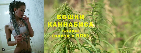 дурь Осташков