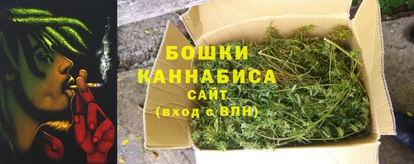 ГАЛЛЮЦИНОГЕННЫЕ ГРИБЫ Абаза