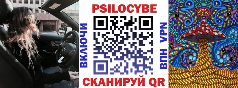 Галлюциногенные грибы Psilocybine cubensis Алатырь